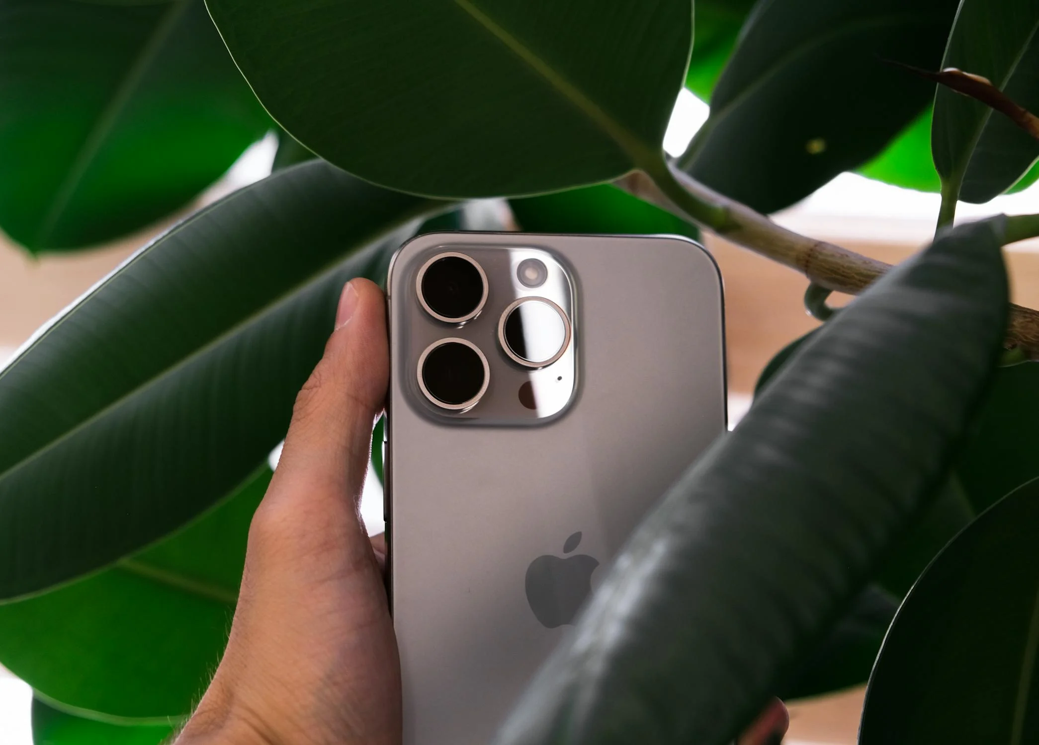 iPhone 16 Plus